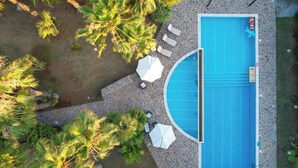 Luchtbeeld van een zwembad met ligbedden en parasols, omringd door palmbomen.
