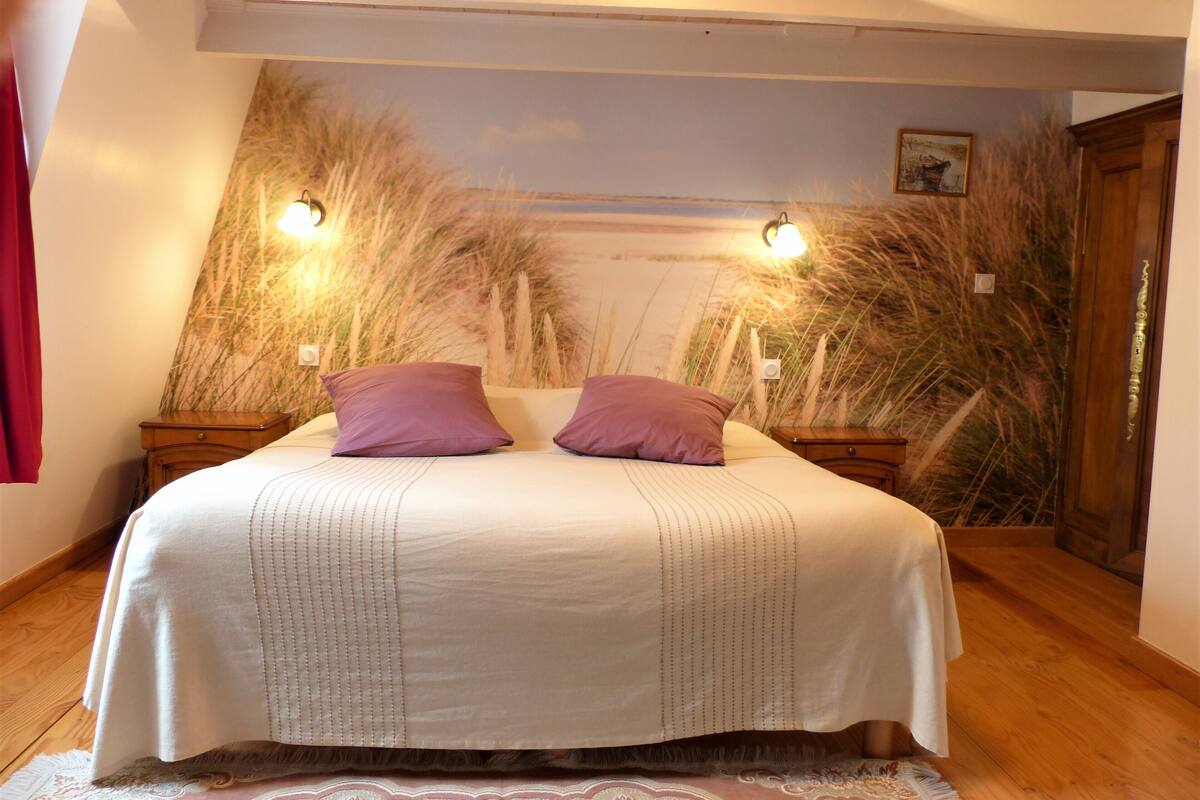 Chambre Bluette | WiFi (無料)