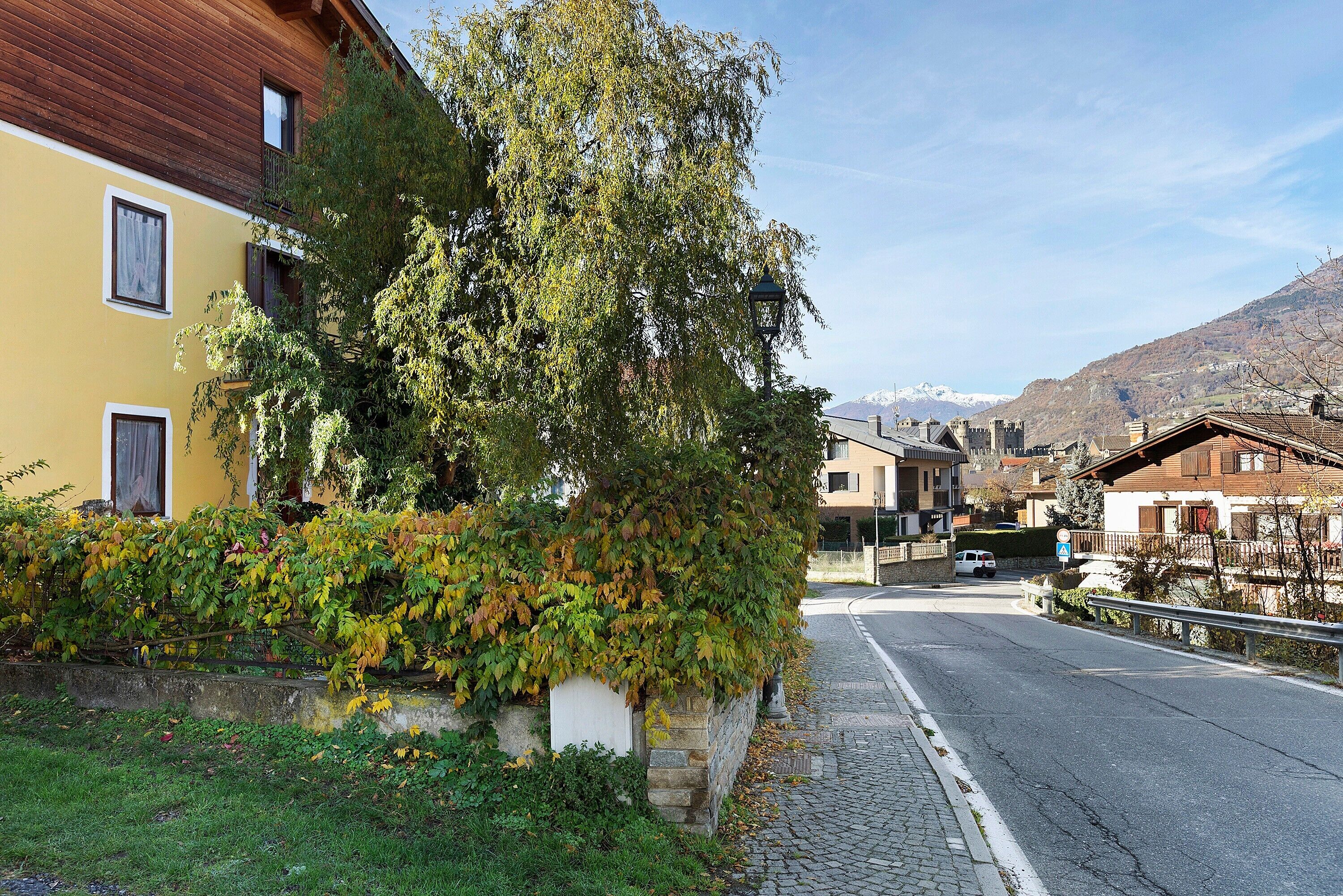 Une rue bordée d’immeubles, avec un arbre et une montagne en arrière-plan.