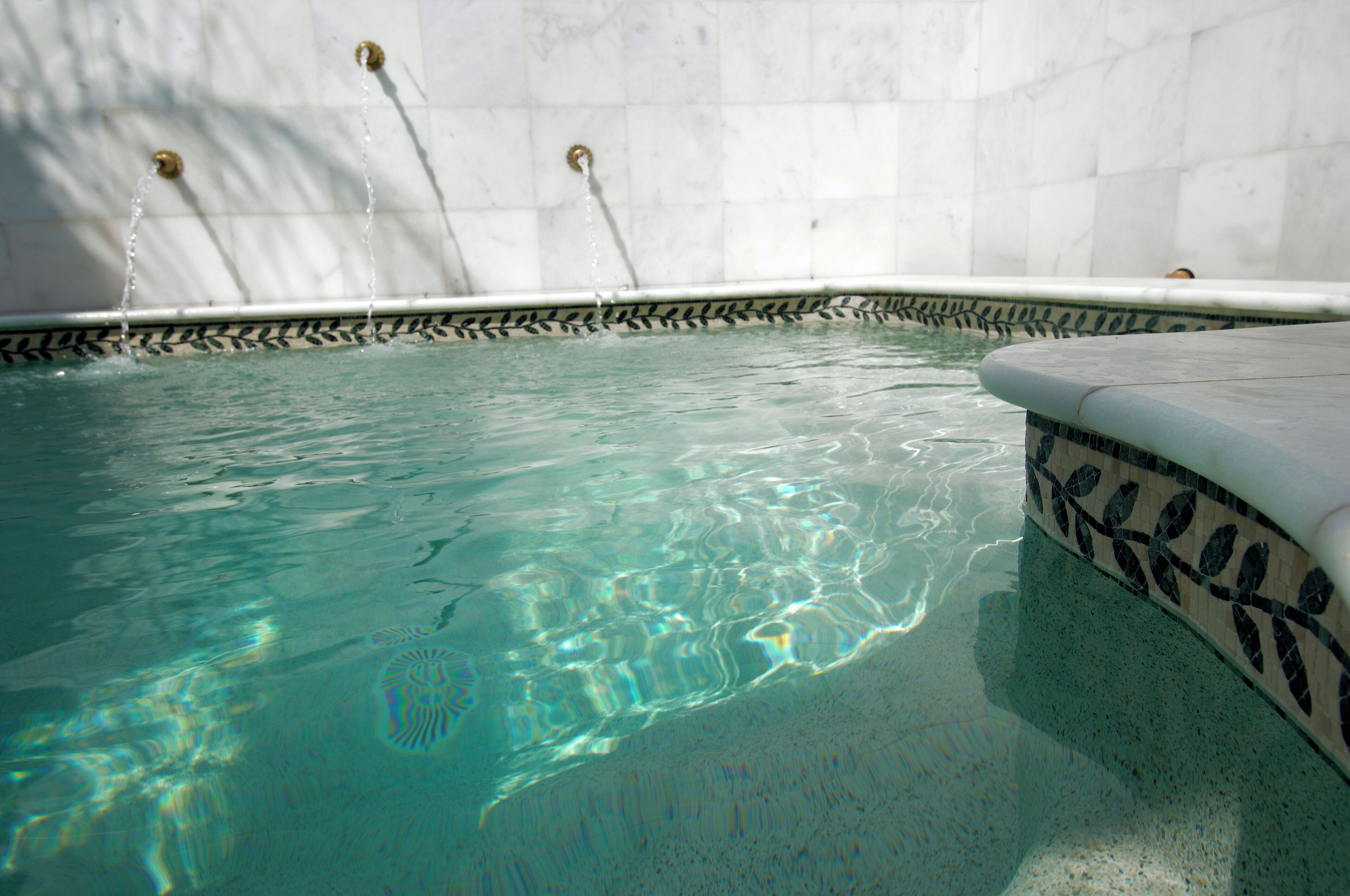Une piscine intérieure à eau claire, avec un bord carrelé et un motif décoratif en forme de feuilles.
