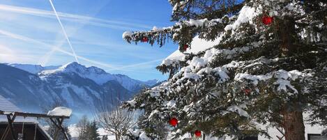 Leilighet, 1 soverom, balkong, hageutsikt | Utsikt fra overnattingsstedet