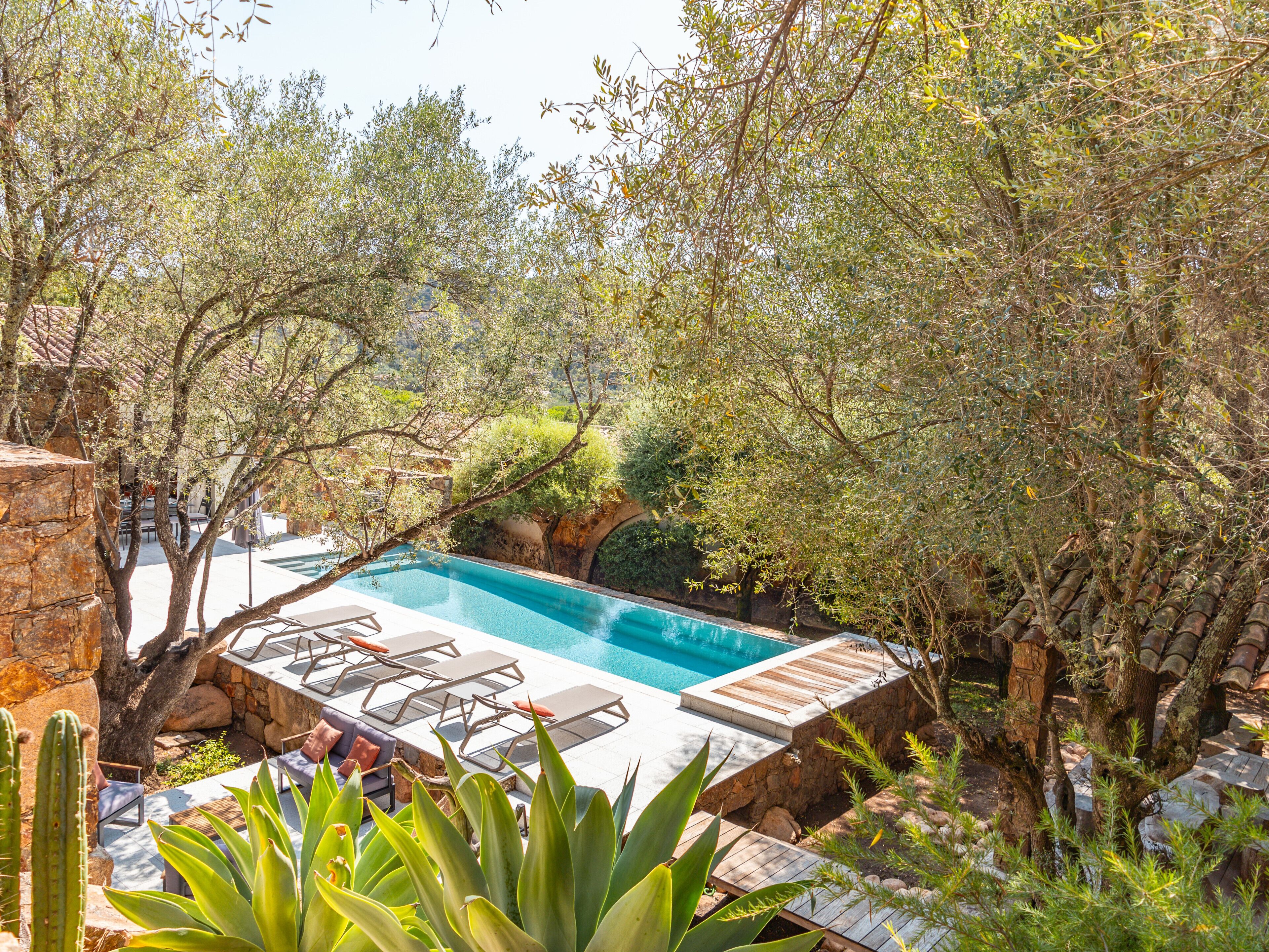 A pool surrounded by trees and a stone wall.