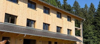 Dog-friendly Holiday Apartment in Bregenzerwald