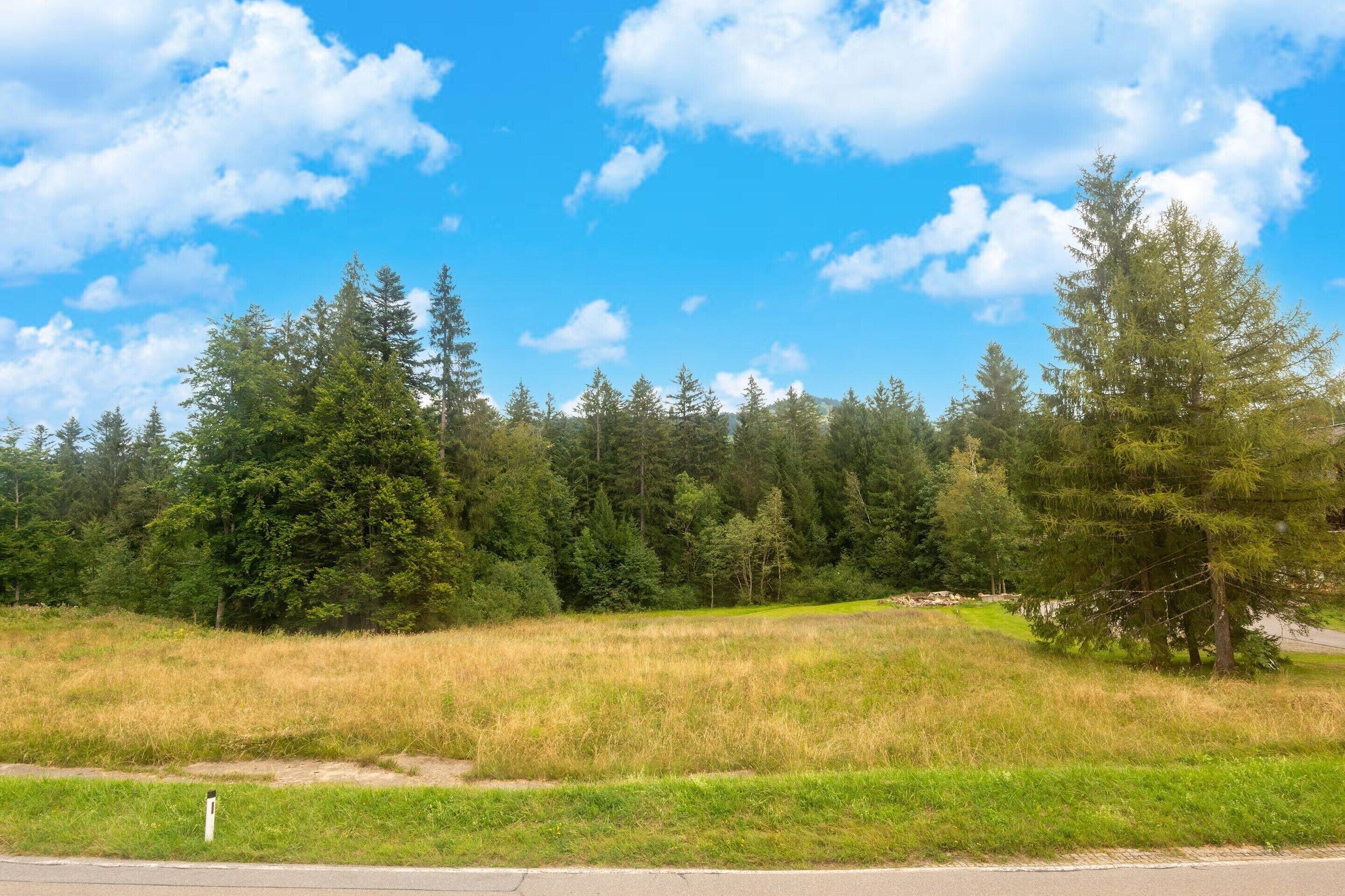 A grassy field with a road in the foreground and a forest in the background.