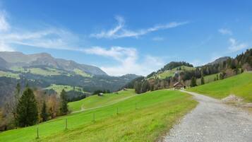A rural landscape with a gravel path, green fields, and distant mountains under a clear sky.