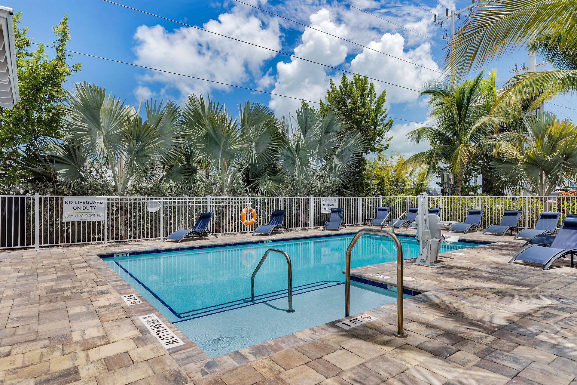 A swimming pool with a shallow end, surrounded by lounge chairs and palm trees.