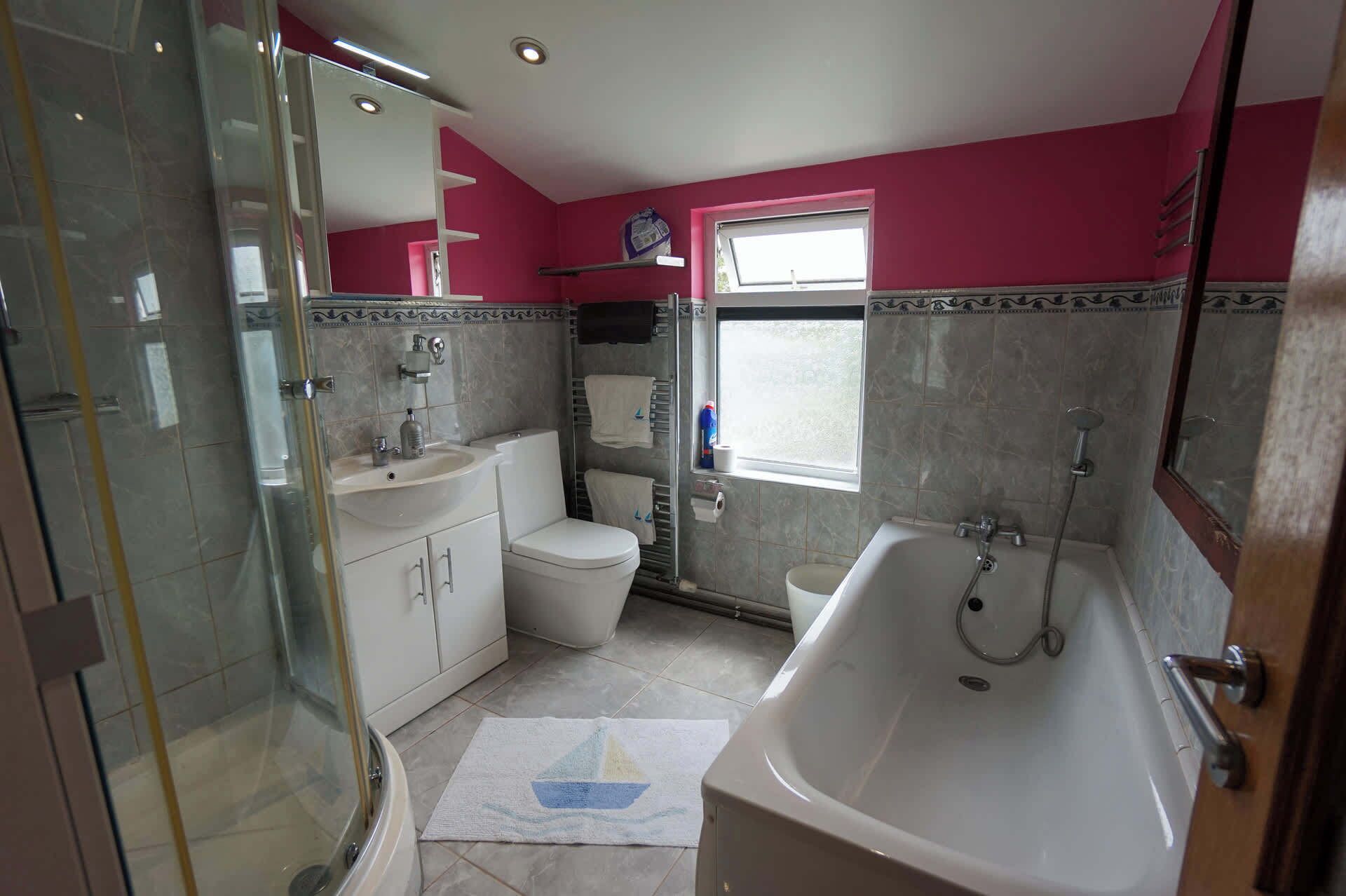 Shower, hair dryer