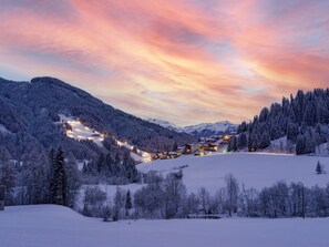 Vista desde la propiedad
