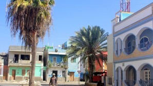 Una calle adoquinada con palmeras y edificios con balcones y ventanas de arco.