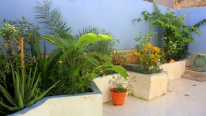 Un jardín en la azotea con plantas en macetas diversas y un pequeño espacio para sentarse.