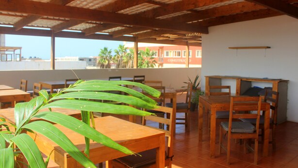 Un área de comedor con mesas y sillas de madera, una planta grande y vistas a palmeras y edificios al exterior.