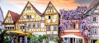 Appartement « Confort au-dessus de Besigheim » avec vue sur les montagnes et Wi-Fi