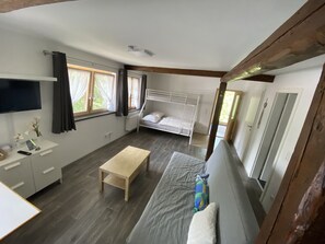 Apartament clàssic, bany privat, vistes a la muntanya | Lounge