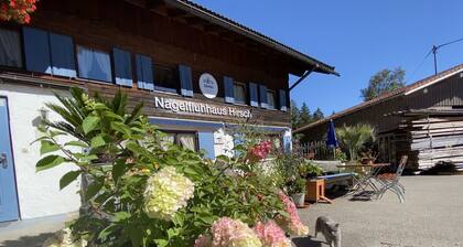 Nagelfluhhaus Hirsch