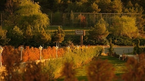 Une enseigne indiquant l’hôtel-restaurant Camblot, entouré d’arbres et d’une clôture.