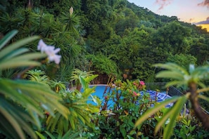Pool - Stunning 6BR Villa: Private Pool & Ocean Views! (Central)
