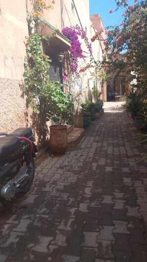 المنطقة المحيطة بالمنشأة