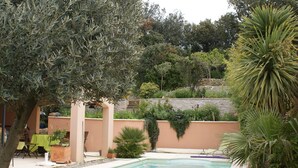 Una piscina con zona de patio, rodeada de diversas plantas y árboles.