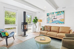 Smart TV, fireplace, books