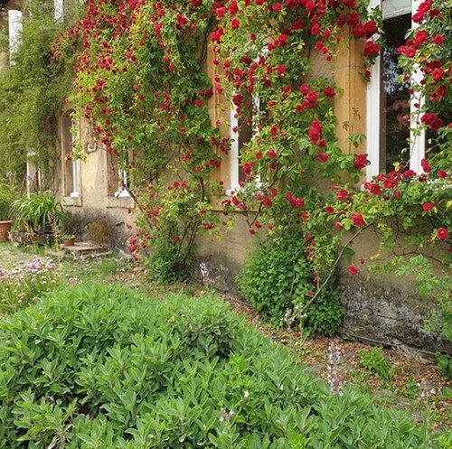 Apartment with character