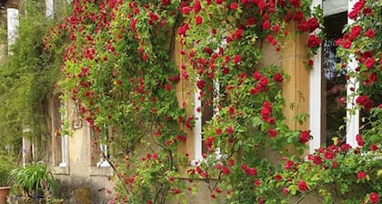 Apartment with character