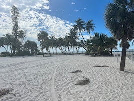 Una playa cerca