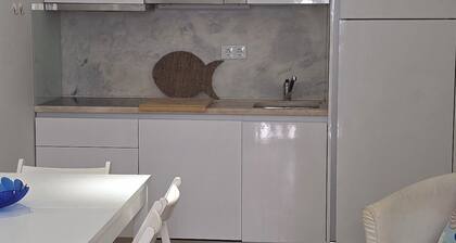 3 bedroom apartment near Ouro beach