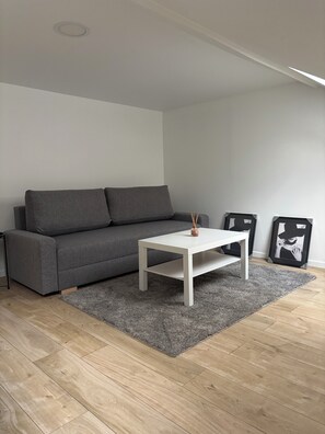 Living area - Spacious F2 15mn from PARIS (Noisy-le-Sec)