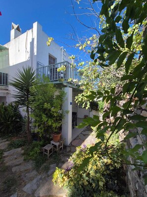A courtyard with a white building, stone pathway, and various plants.