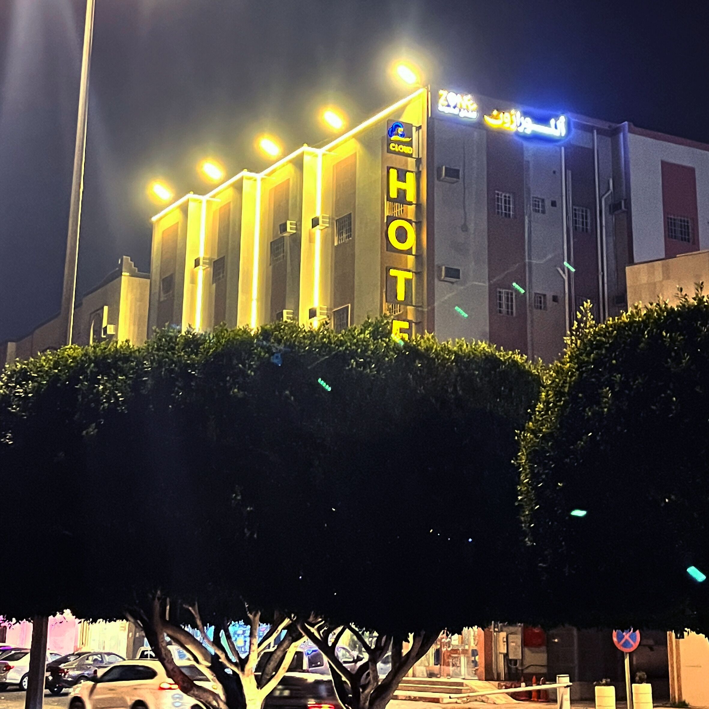 A hotel with illuminated signage, a modern facade, and a tree in the foreground.