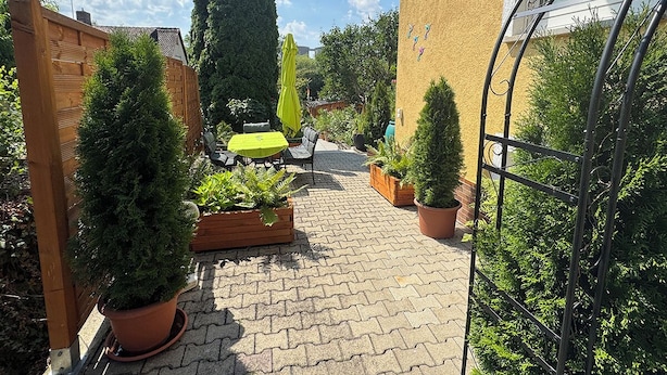 A paved courtyard with potted plants, a wooden fence, and a metal gate.