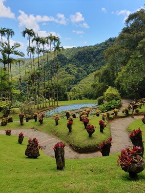 Property grounds - Studio overlooking the Marina du Marin (LE MARIN)