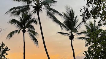 Am Strand, Liegestühle, Strandtücher