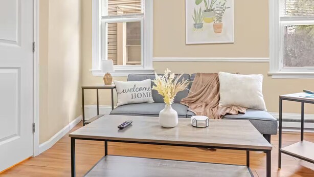 Un salon avec un canapé, une table basse et une plante fixée au mur.