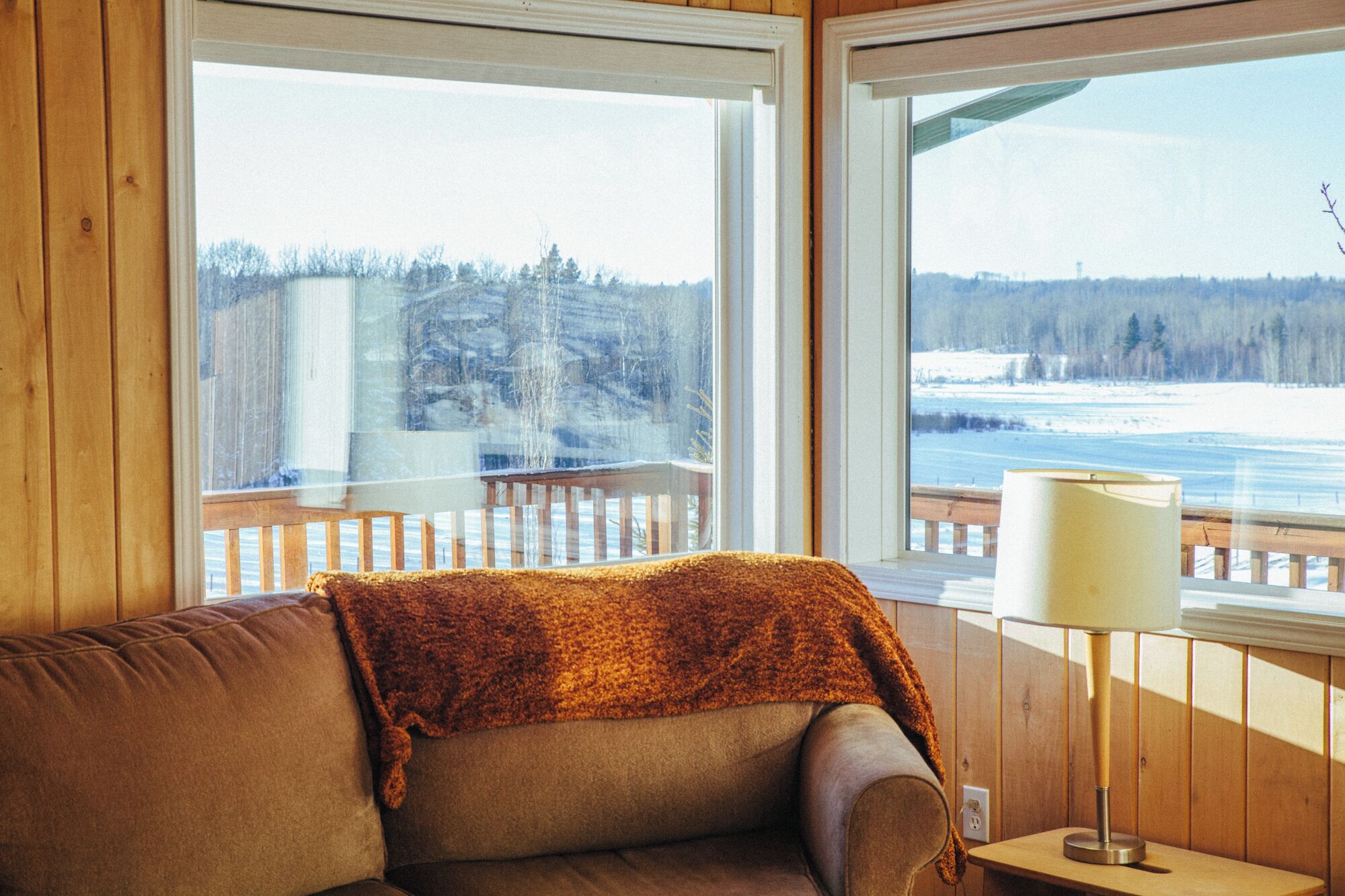 Una televisión, una chimenea, un reproductor de DVD, libros