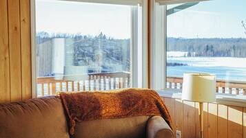 Televisor, llar de foc, reproductor de DVD i llibres