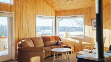 Fernseher, Kamin, DVD-Player, Bücher