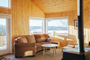 Televisio, takka, DVD-soitin, kirjoja