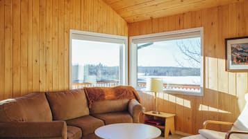 Télévision, cheminée, lecteur de DVD, livres