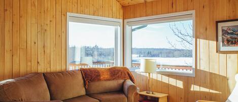 TV, fireplace, DVD player, books