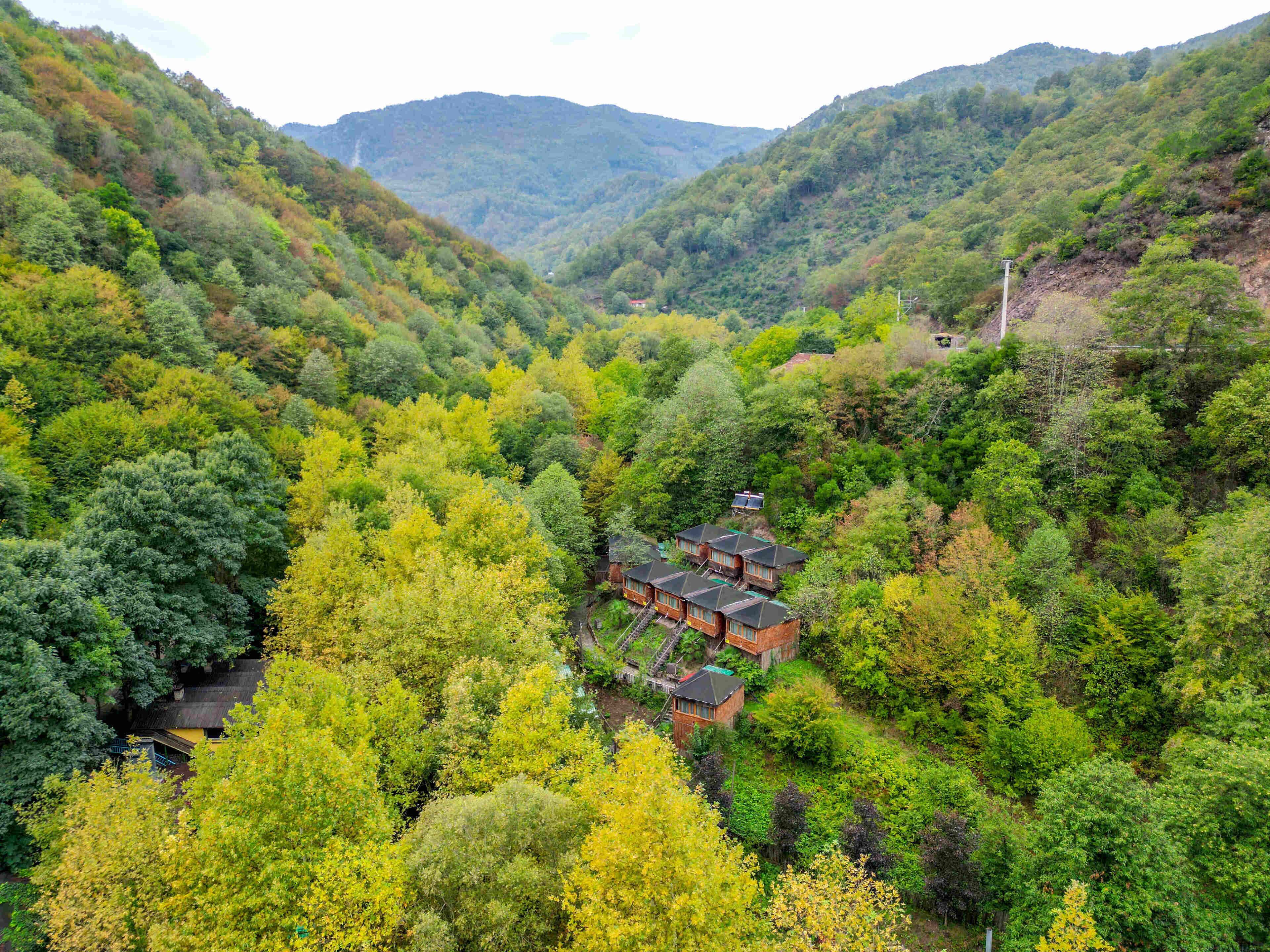 A cluster of traditional wooden houses nestled in a lush valley with dense forest.