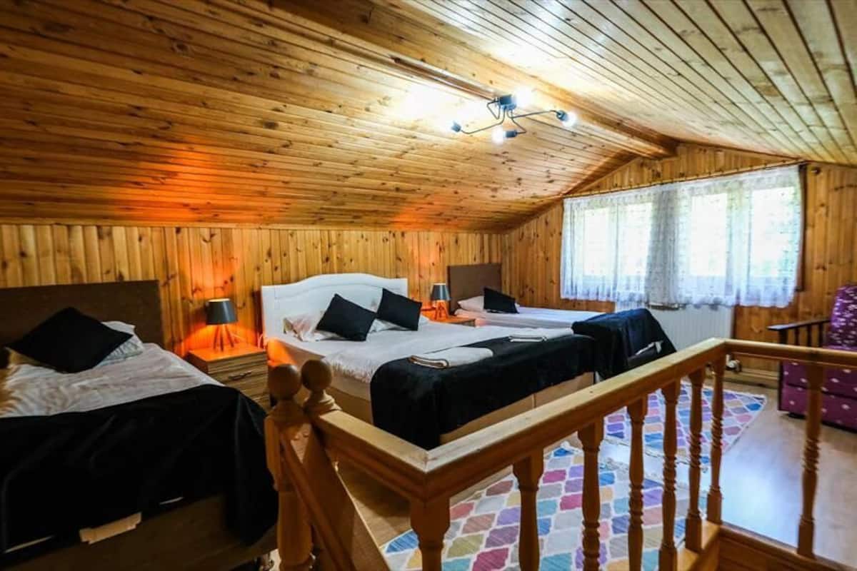 Desk, laptop workspace, free WiFi, bed sheets