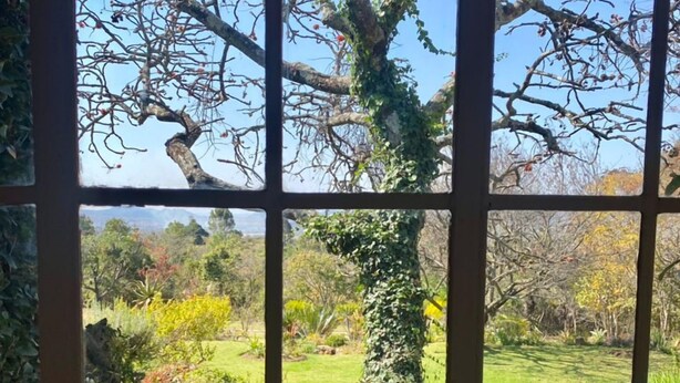 A window with a view of a garden, including a tree with ivy and various shrubs. - Victorian style cottage in Nyanga - 2096 (Nyanga)
