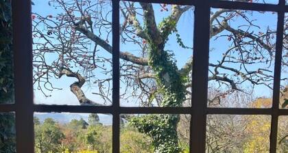 Victorian style cottage in Nyanga - 2096