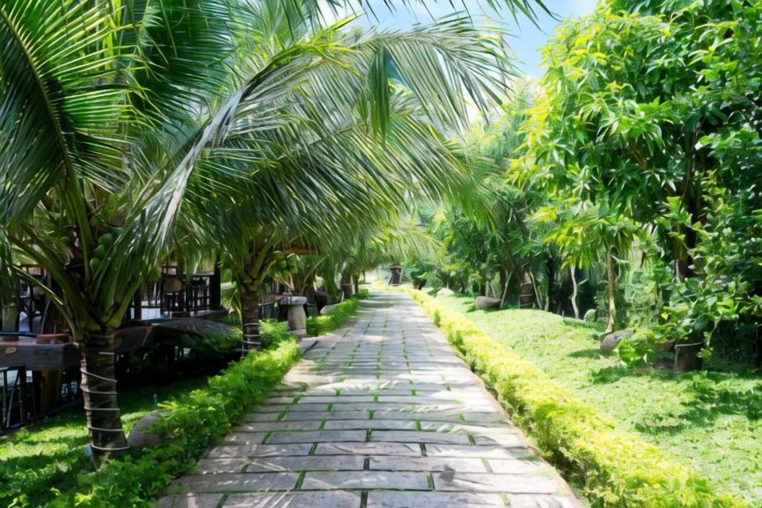 A paved pathway lined with palm trees and greenery, leading to a building.