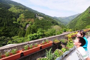 View from property - Kazuraya (Miyoshi)