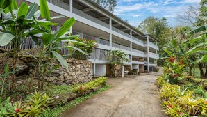 Ein mehrstöckiges Hotel mit einem Betonweg, der zum Eingang führt, umgeben von üppiger Vegetation und Steinmauern.