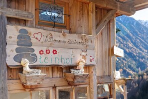 Exterior detail - Room 'Steinhof Zimmer Abendsonne' with Mountain View, Shared Terrace and Wi-Fi (Val di Mezzo)