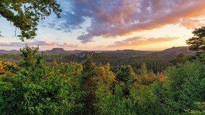 Uklassifisert bilde, 4 av 25, knapp
