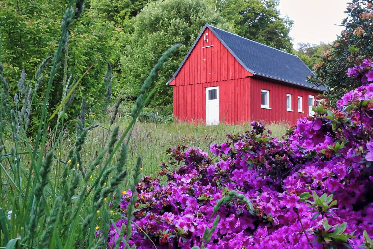 House, Mountain View | Free WiFi